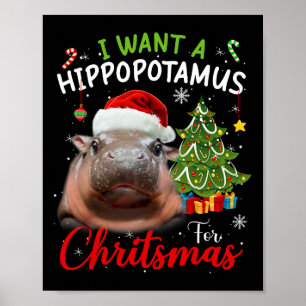 Ich Wollte einen Hippopotamus Weihnachten Funny Hi Poster