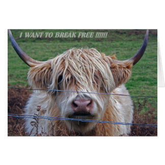 Ich wollte, frei zu werden