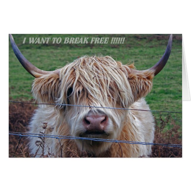 Ich wollte, frei zu werden (Vorderseite (Horizontal))