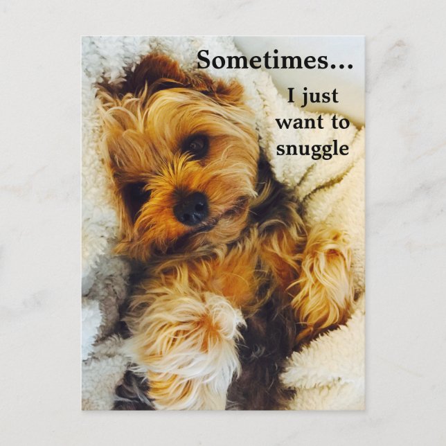 Ich Wollte gerade zu Snuggle Yorkie Postkarte (Vorderseite)