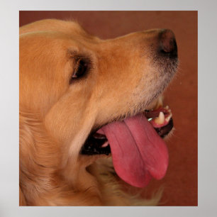 Ich Wollte noch mehr... Poster