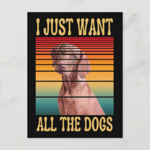 ICH WOLLTE NUR ALLE HUNDE POSTKARTE