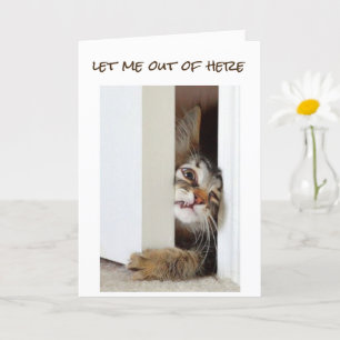 ICH WOLLTE ZU SAGEN **GLÜCKLICH 16. GEBURTSTAG** Z KARTE