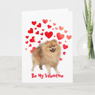 Ich wuffe liebe dich Pomeranian Hund Valentinstag Feiertagskarte