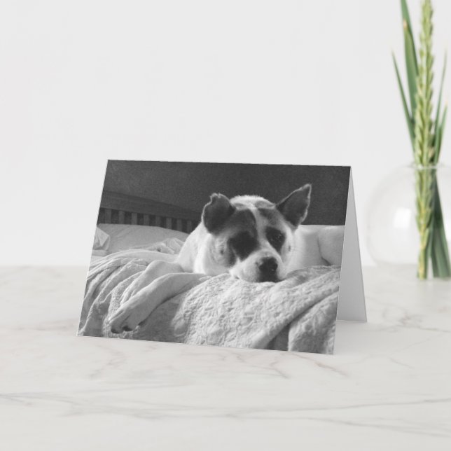 Ich wünschte, du wärest hier. karte (Vorderseite)