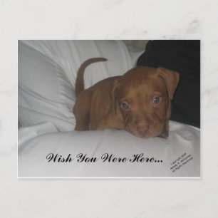 Ich wünschte, du wärest hier.. postkarte