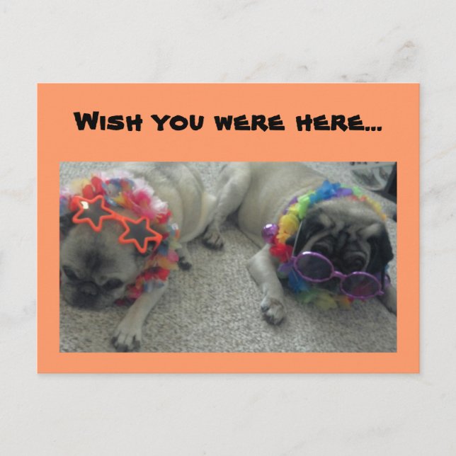 Ich wünschte, Sie wären hier...Postcard. Postkarte (Vorderseite)