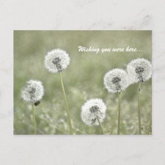 Ich wünschte, Sie wären hier... Postkarte