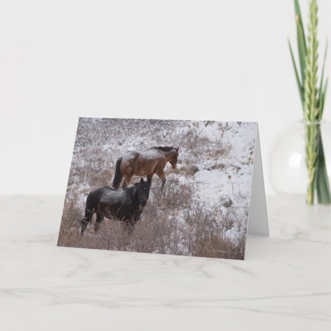 Ich wünschte, wir hätten Weihnachten mit dir verbr (Vorderseite)