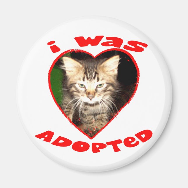 Ich wurde Adoptiert Magnet (Vorne)