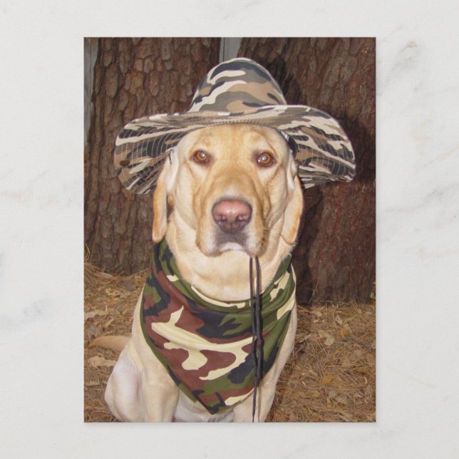 Ich würde eher jagen postkarte (Vorderseite)