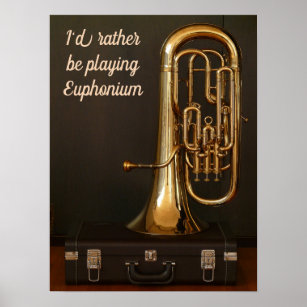 Ich würde lieber Euphonium-Zitat-Messingmusik spie Poster