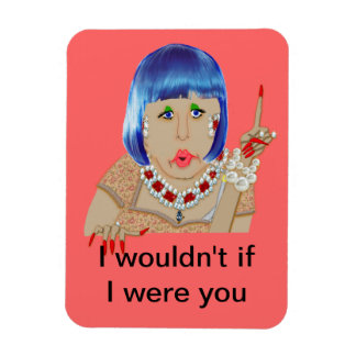 Ich würde nicht, wenn ich du Kühlschrank wäre Magnet