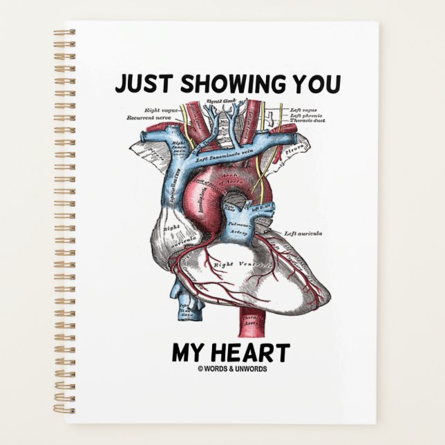 Ich zeige Ihnen mein anatomisches Herz Planer (Vorderseite)