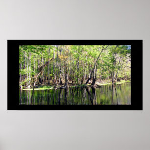 Ichetucknee Fluss Poster