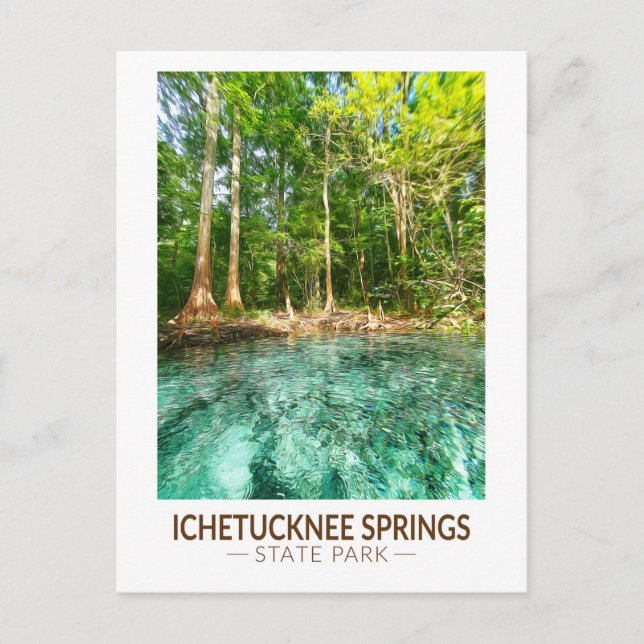 Ichetucknee Staat Park Florida Postkarte (Vorderseite)