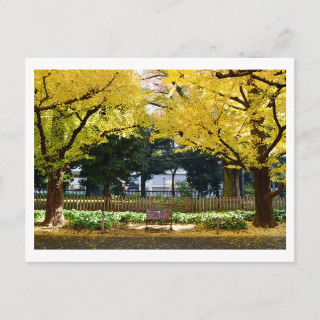Icho Namiki (Ginkgo Avenue): Tokio, Japan Postkarte (Vorderseite)