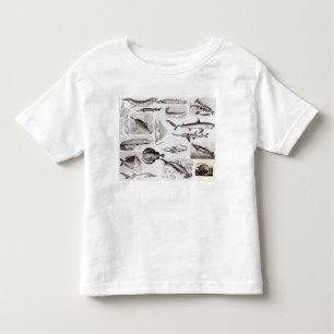 Ichthyologie Elasmobranch, Ganoid Kleinkind T-shirt