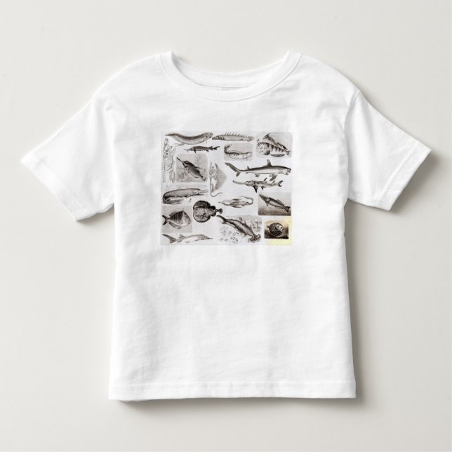 Ichthyologie Elasmobranch, Ganoid Kleinkind T-shirt (Vorderseite)