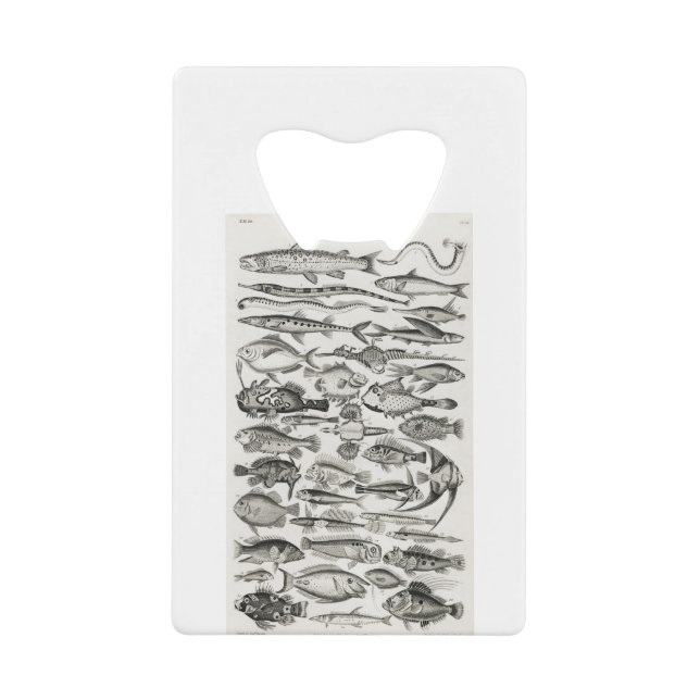 Ichthyologie, Fische, Ozeane, Ichthyologe Geldbeutel Flaschenöffner (Vorderseite)