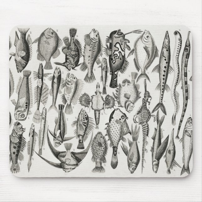 Ichthyologie, Fische, Ozeane, Ichthyologe Mousepad (Vorne)