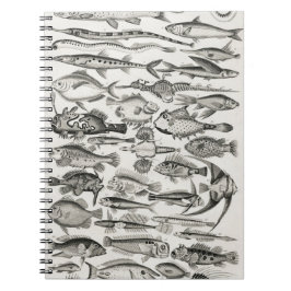 Ichthyologie, Fische, Ozeane, Ichthyologe Notizblock