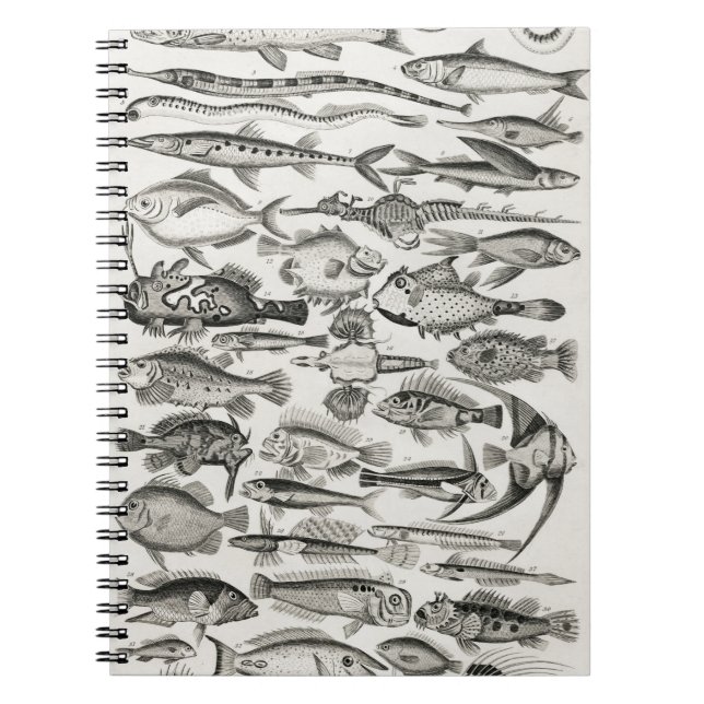 Ichthyologie, Fische, Ozeane, Ichthyologe Notizblock (Vorderseite)