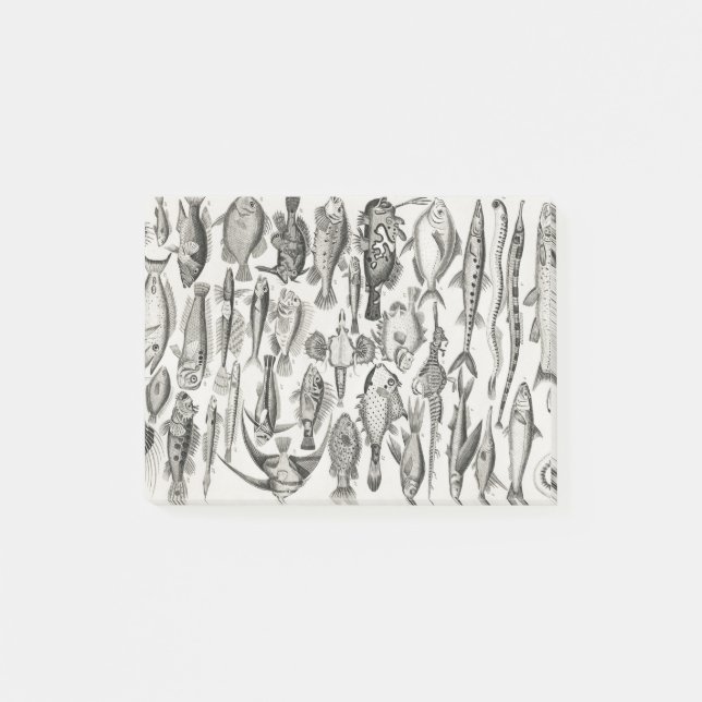 Ichthyologie, Fische, Ozeane, Ichthyologe Post-it Klebezettel (Vorderseite)