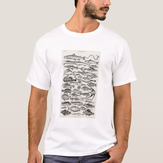Ichthyologie, Fische, Ozeane, Ichthyologe T-Shirt (Vorderseite)