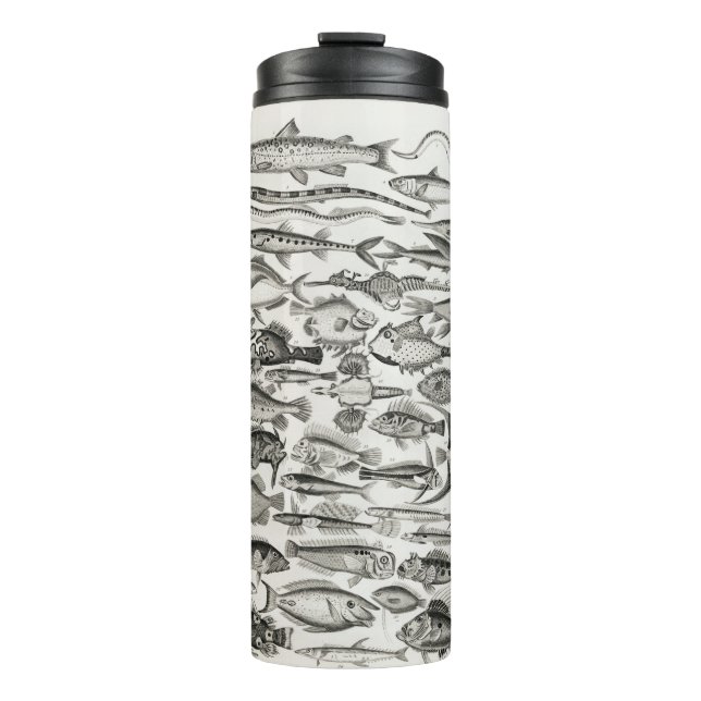 Ichthyologie, Fische, Ozeane, Ichthyologe Thermosbecher (Vorderseite)