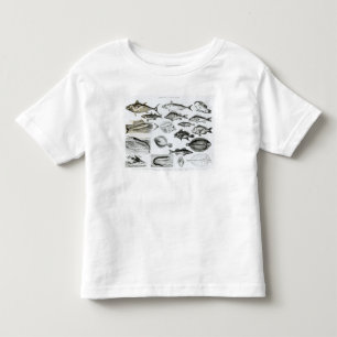 Ichthyologie-knöcherne Fische Kleinkind T-shirt