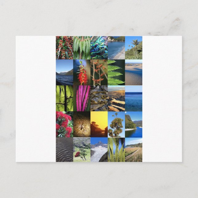 Iconi Neuseeland Kiwiana Naturszenen Postkarte (Vorderseite)