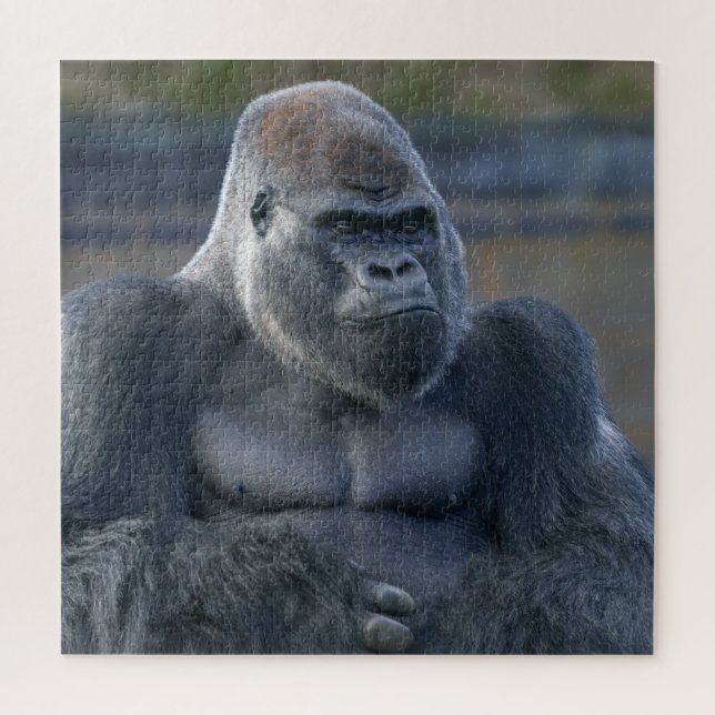 Iconic Silverback Oumbi Puzzle (Vertikal)