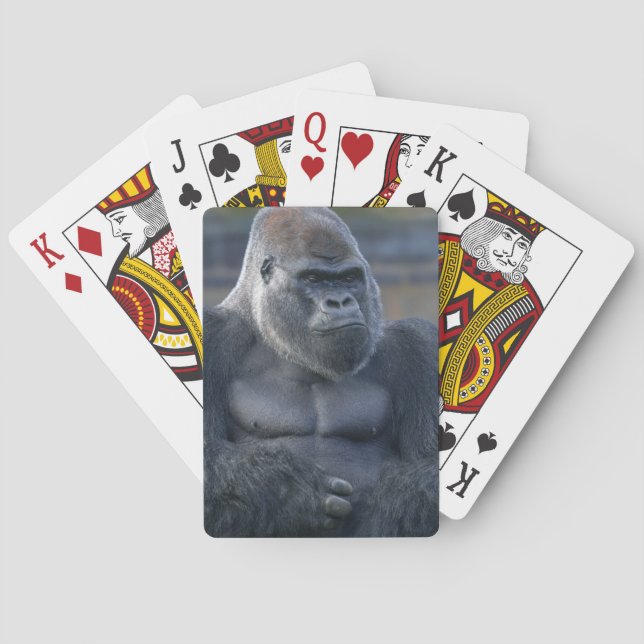Iconic Silverback Oumbi Spielkarten (Rückseite)