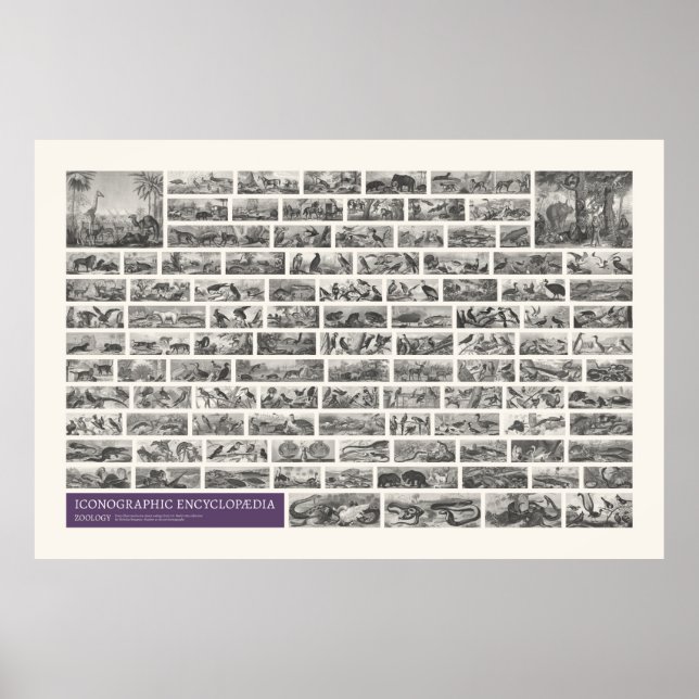 Iconographie - Zoologische Szenen Poster (Vorne)