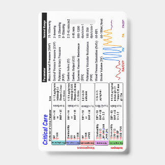 ICU Critical Care Abzeichen Buddy Ausweis
