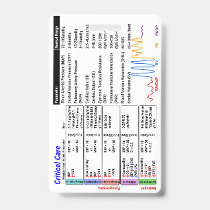ICU-Kritikfall-Badge-Buddy Ausweis