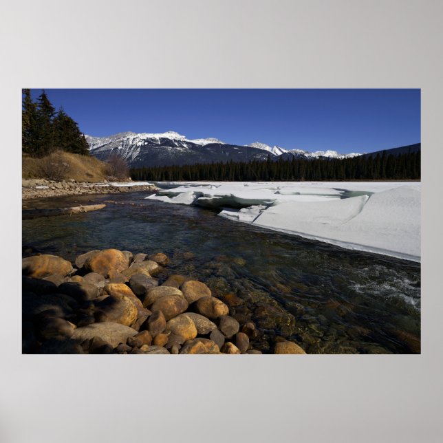 Icy Athabasca River Poster (Vorne)
