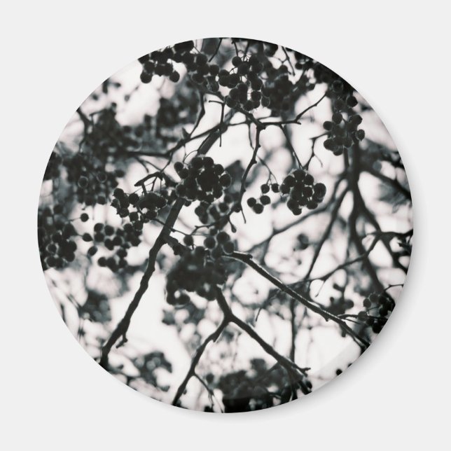 Icy Berries Magnet (Vorne)