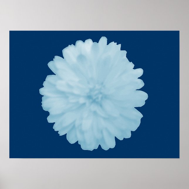 Icy Blue Marigold Poster (Vorne)