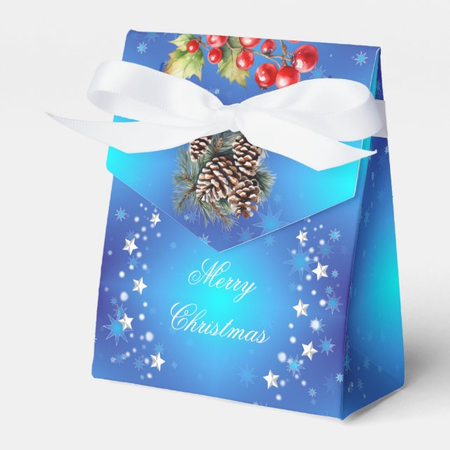Icy Blue White Stars Pine Cone Red Berries Geschen Geschenkschachtel (Vorderseite)