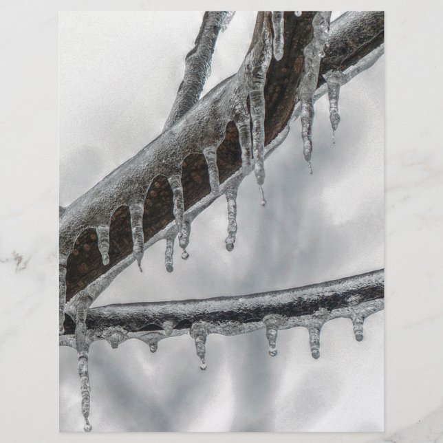 Icy Branch (Vorderseite)