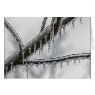 Icy Branch