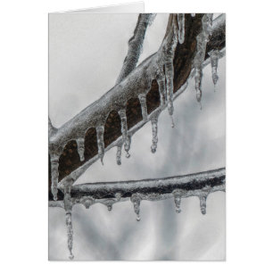Icy Branch