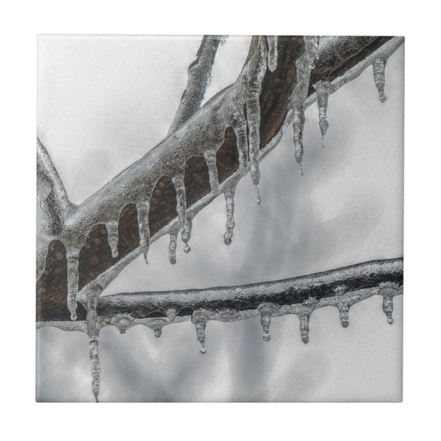 Icy Branch Fliese (Vorderseite)