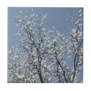 Icy Branches in Winter Blue Sky Fliese