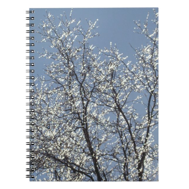 Icy Branches in Winter Blue Sky Notizblock (Vorderseite)