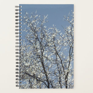 Icy Branches in Winter Blue Sky Planer