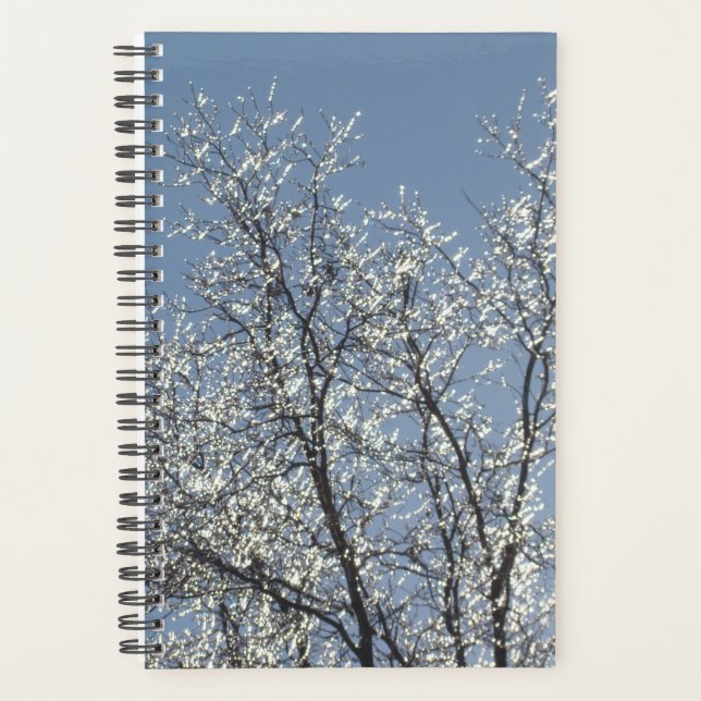 Icy Branches in Winter Blue Sky Planer (Vorderseite)