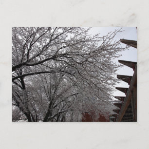 Icy Delmar Loop Postkarte